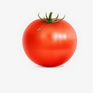 WWW,av426·COM网站APPAPP应用